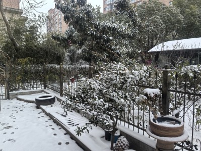 扬州小院｜雪落在家门口的治愈感