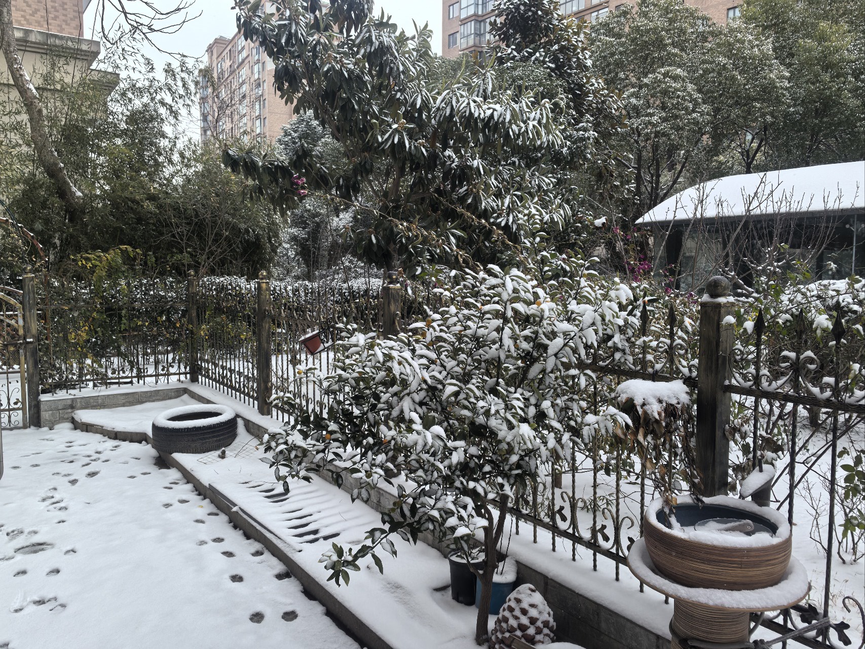 扬州小院｜雪落在家门口的治愈感